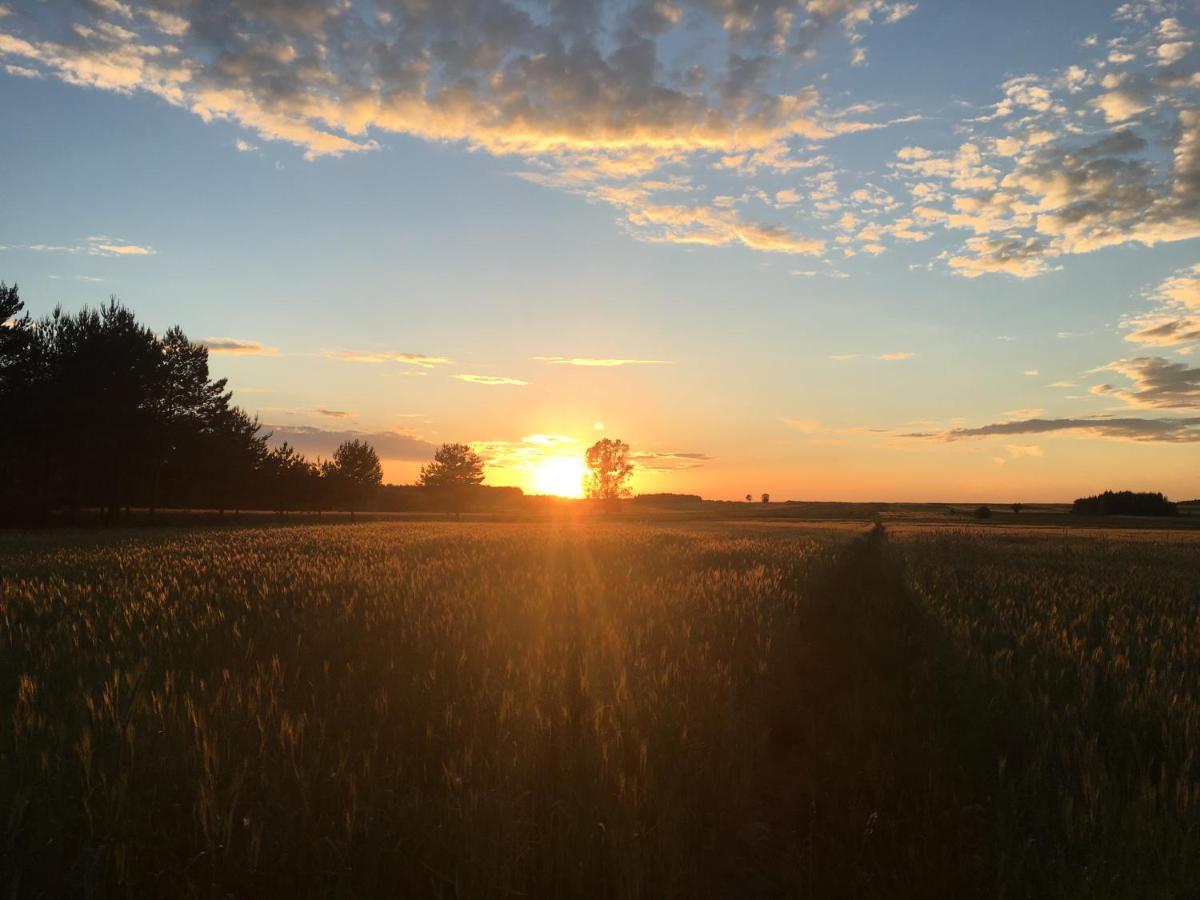 Wsrod Pol I Lasow Dubicze Cerkiewne Exterior foto
